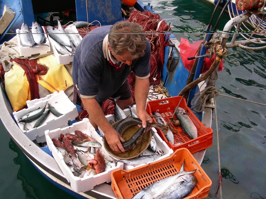 Mann auf einem Boot